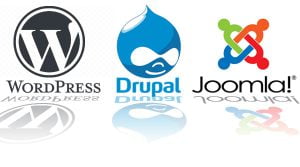 WordPress and Drupal Web Design Content Management Systems